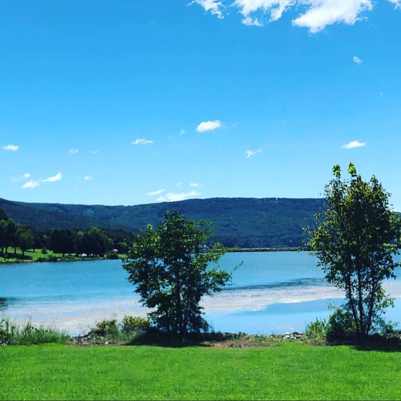 Meet your Posher, Eden - Picture 1 of 1